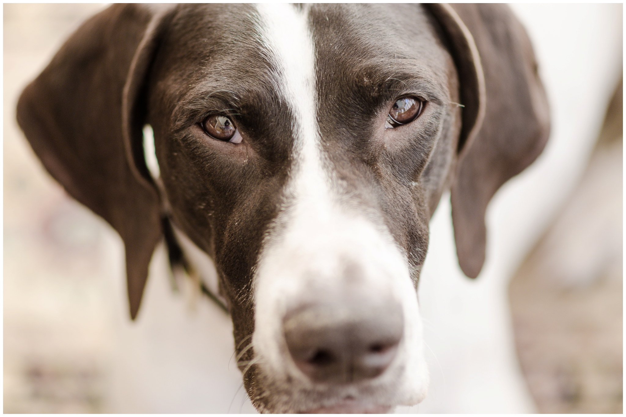 Lazy Weekend at Home