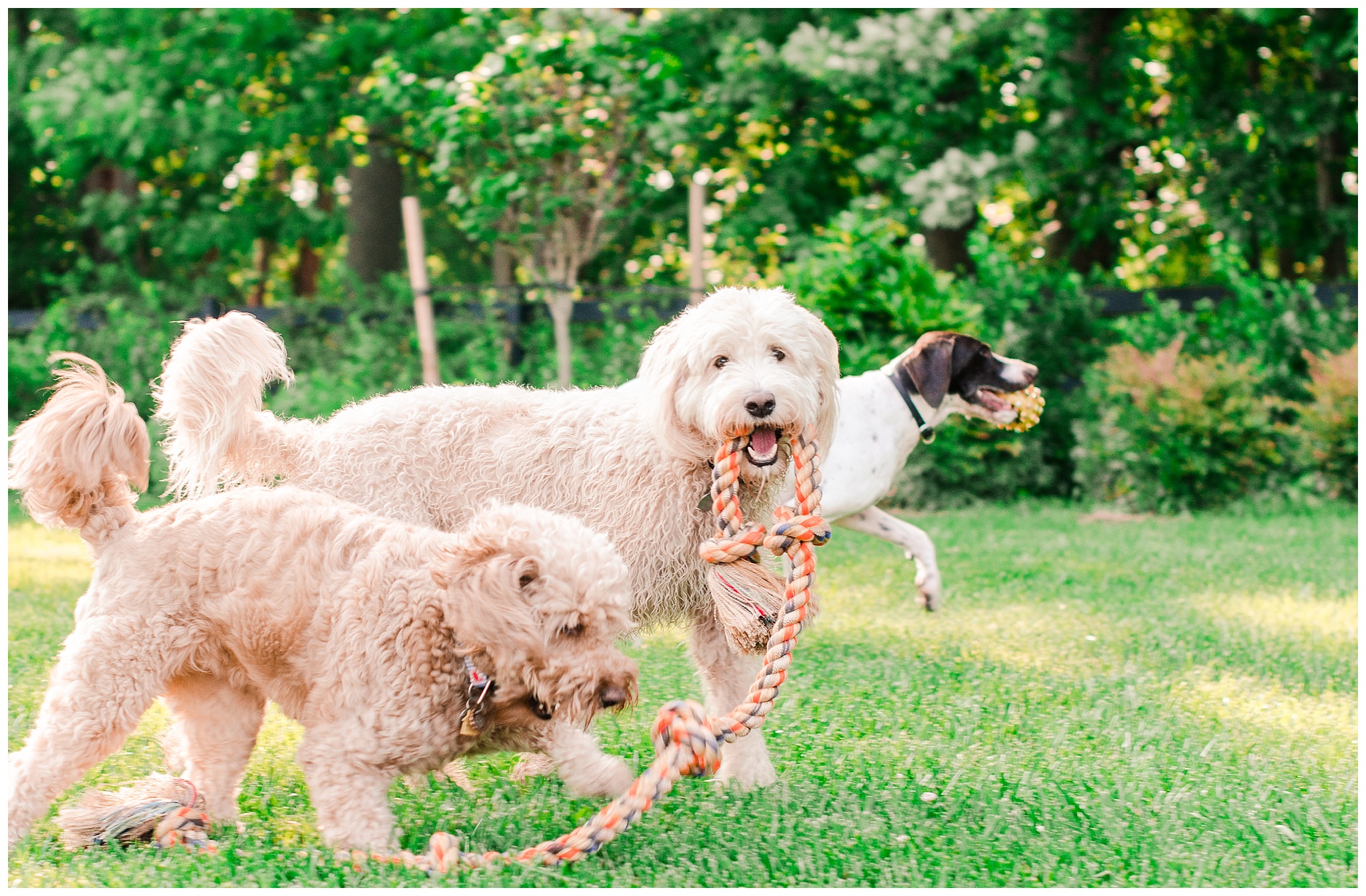 Summer Weekend at Home