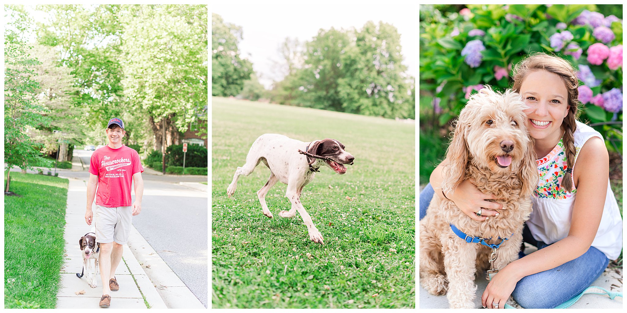 Our Casual Summer Walks